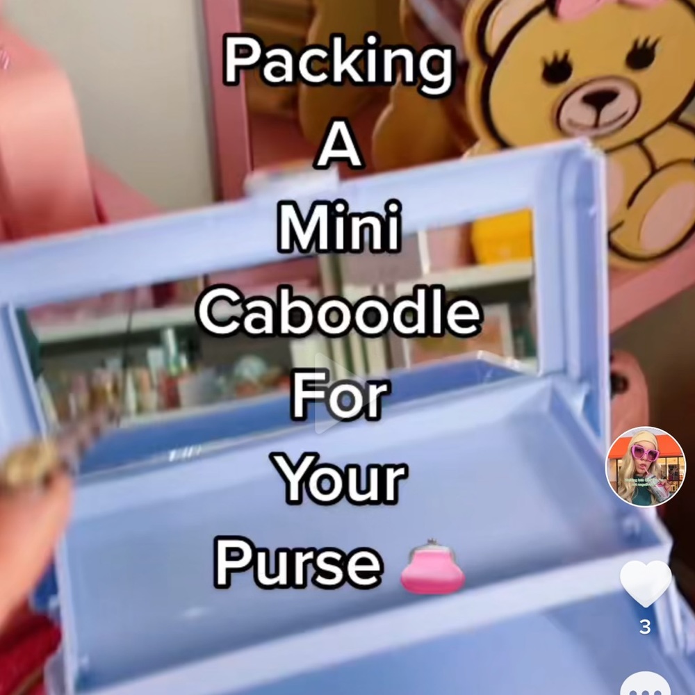 Must Haves For Your Purse From My Tiktok